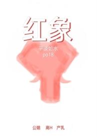 红象最新章节更新