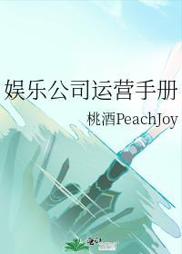 娱乐公司怎么经营
