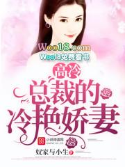 高冷总裁的冷艳娇妻全文阅读