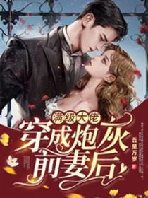 满级大佬穿成了炮灰女配