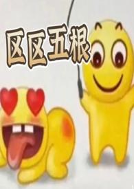 区区5根笔趣阁