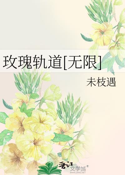 玫瑰轨道无限流txt