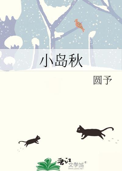 小岛秋笔趣阁无弹窗