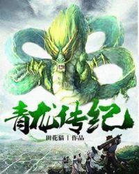 青龙连续剧