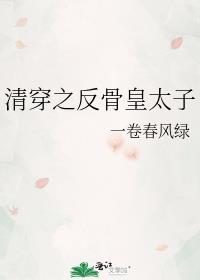 清穿之反骨皇太子TXT资源