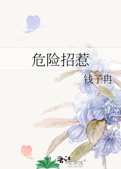 危险招惹附带番外