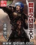 网游之战御天下无删减