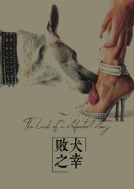 败犬gk