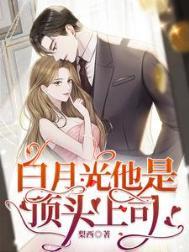 白月光他是顶头上司类别言情作者 梨西