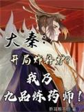 大秦之炼丹