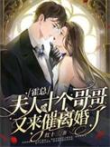 霍总追婚夫人哪里跑