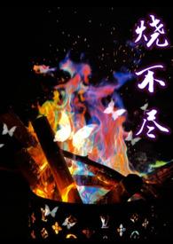 烧不尽回南雀在线阅读无删减版