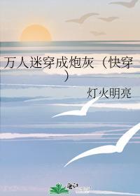 万人迷炮灰快穿全文免费阅读