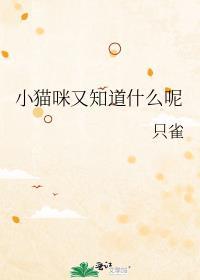 小猫知道谁是主人吗