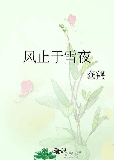 风止于雪夜龚鹤笔趣阁