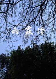 雨霖铃 网络