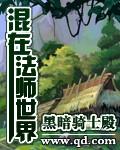 混在法师世界林放故事
