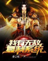 我有无敌选项系统