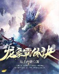龙象决林枫