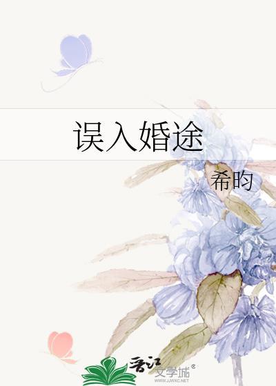 误入婚途by希昀讲的什么