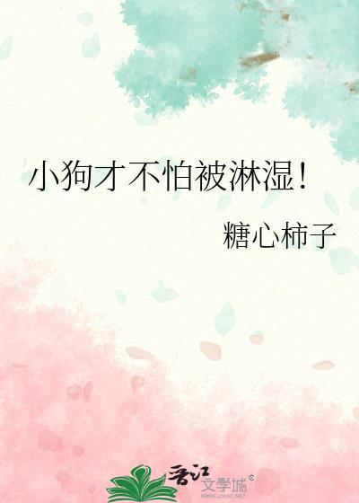 小狗才不怕被淋湿吧