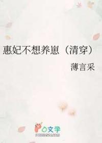 慧妃养娃日常全文免费阅读番外