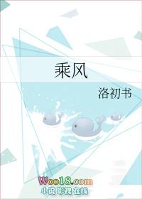 乘风2026二公