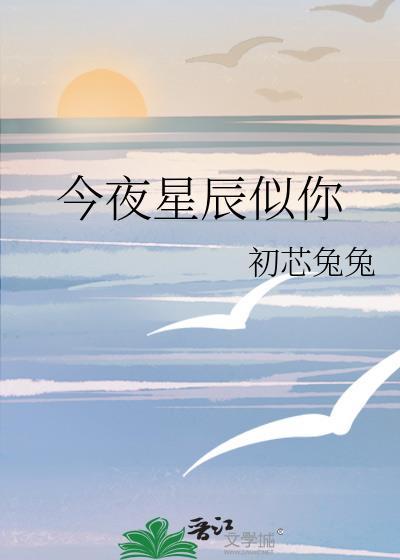 今夜星辰似你 全文