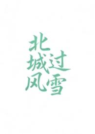 北城有雪全文阅读