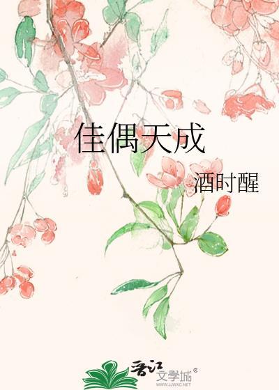 佳偶天成十四郎讲的什么