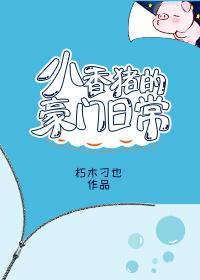 小香猪宠物饲养图