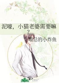 猫猫找老婆