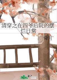 清穿之四爷续福晋