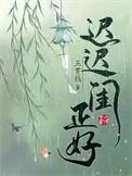 迟迟闺正好书评
