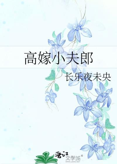 高嫁小夫郎TXT