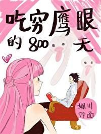 吃穷鹰眼的800天TXT