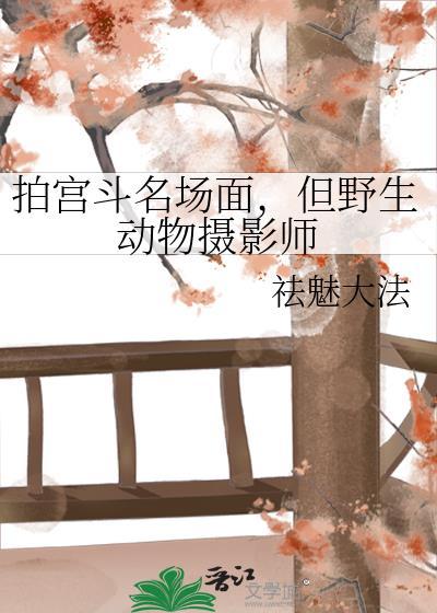 拍摄野生动物的摄像机