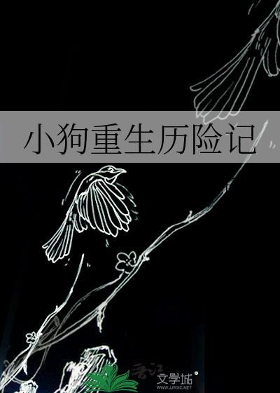 狗狗历险记电影