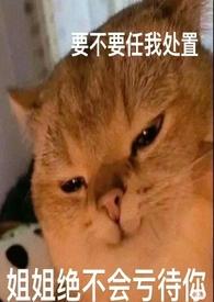 女哨男向含义