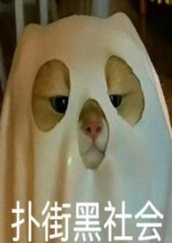 她只想赚钱九龙城寨by拿坡里黄小狗