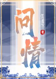 问情txt
