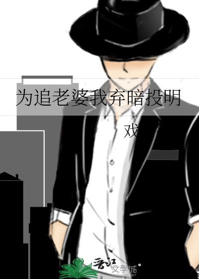 为追老婆我弃暗投明讲的是什么