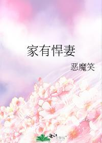 家有悍妻怎么破笔趣阁txt