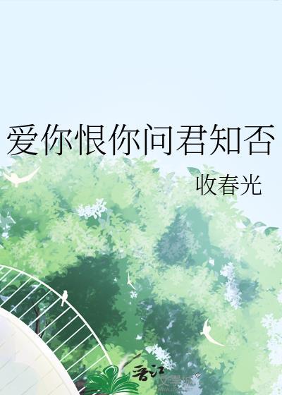 爱你恨你问君知否歌词是什么意思