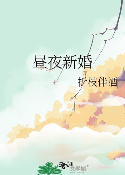 昼夜连绵的结婚番外
