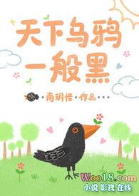 天下乌鸦一般黑最佳三大生肖