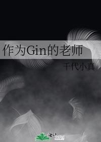 作为gin的老师阅读