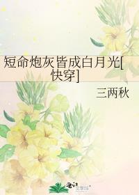 短命炮灰皆成白月光[快穿