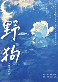 伪骨科姐弟野外言情