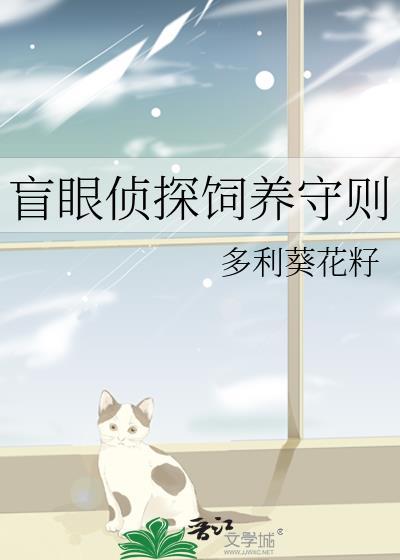 盲探侦探